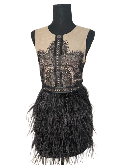 Embroidered Feather Dress