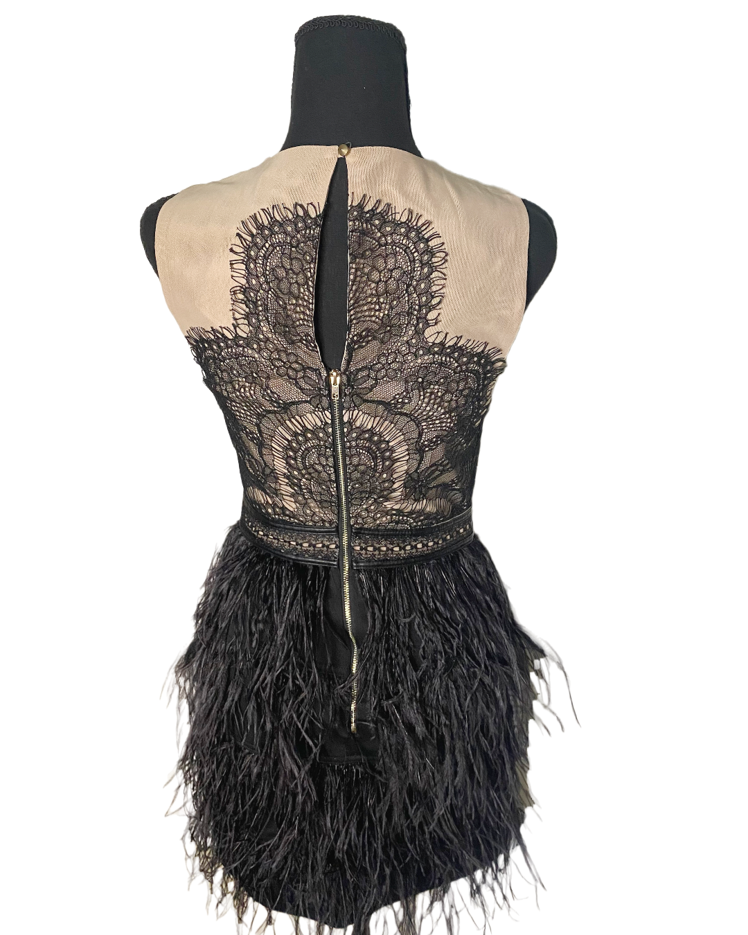 Embroidered Feather Dress